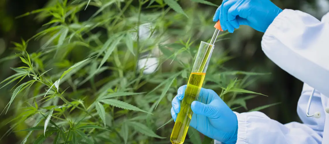 A scientist researching advancements in medical plant-based therapy